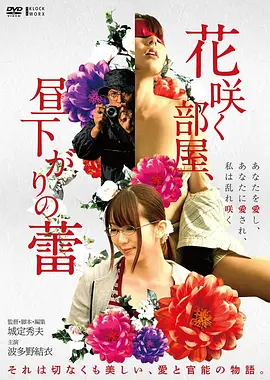 第七码头 高清电影免费观看